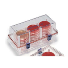 BD Rack (only), holds 30-33 plates to fit 260672 Gaspak EZ Large Incubation Container