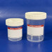 80ml Sample Jar, Flat Bottom, Polypropylene, Gamma Sterile, Labelled, Box 500 80ml Sample Jar, Flat Bottom, Polypropylene, Gamma Sterile, Labelled, Box 500