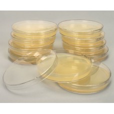 Pre-Poured Potato Dextrose Agar (PDA) Plates, Sterile, Sleeve of 20